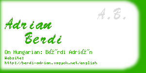 adrian berdi business card
